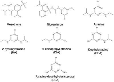 Residue determination and dietary risk assessment of mesotrione, nicosulfuron, atrazine and its four metabolites in maize in China
